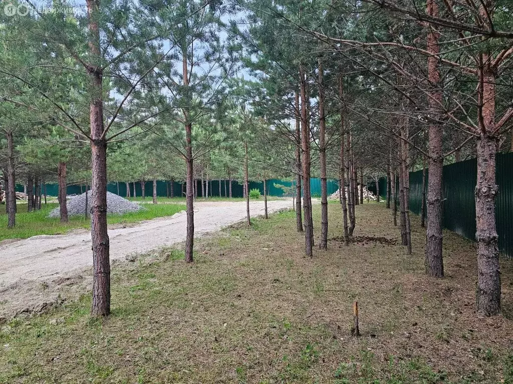 Участок в село Тюнево, территория Ямановское (14 м) - Фото 0