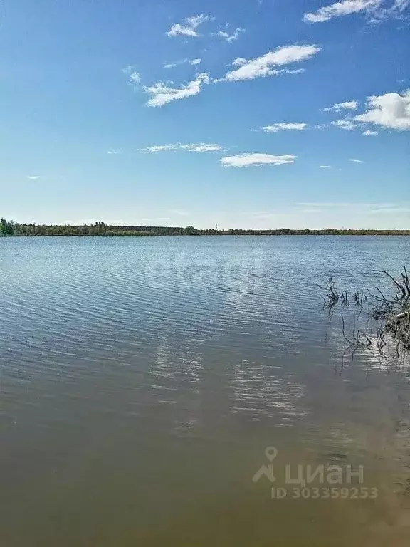 Участок в Ярославская область, Некрасовский район, Красный Профинтерн ... - Фото 0