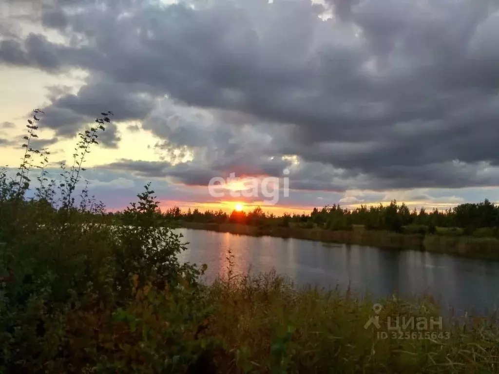 Участок в Калининградская область, Гвардейский муниципальный округ, ... - Фото 1