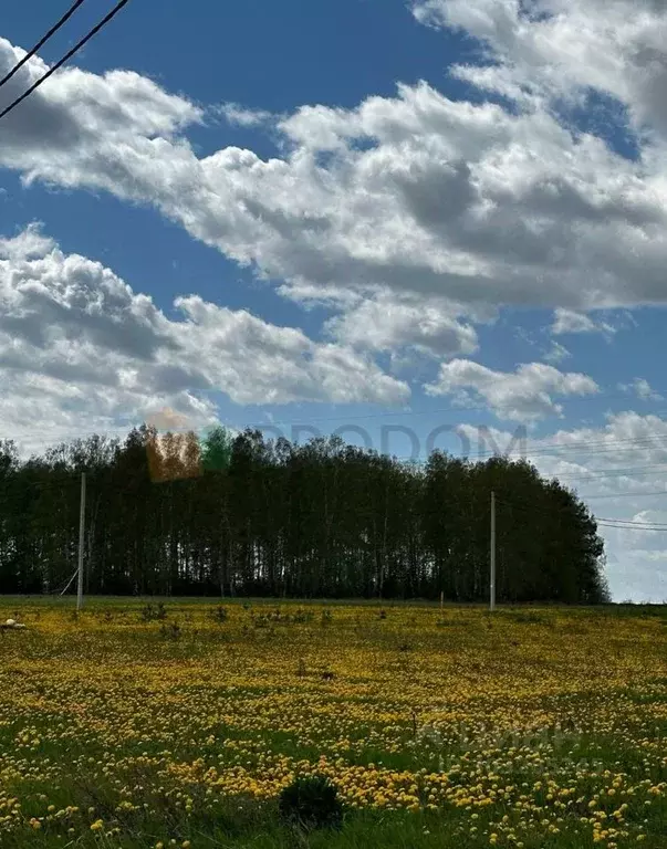 Участок в Свердловская область, Екатеринбург муниципальное ... - Фото 0