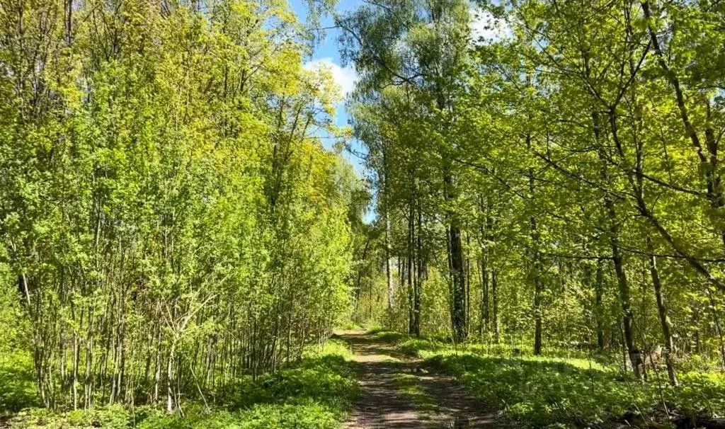 Участок в Московская область, Щелково городской округ, Загорянский пгт ... - Фото 1