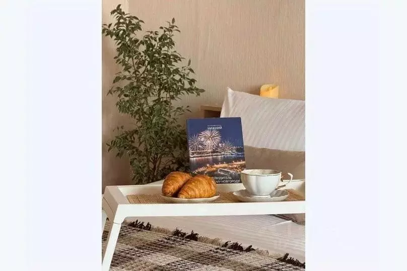 1-к кв. Нижегородская область, Нижний Новгород бул. Мира, 17А (55.0 м) - Фото 2