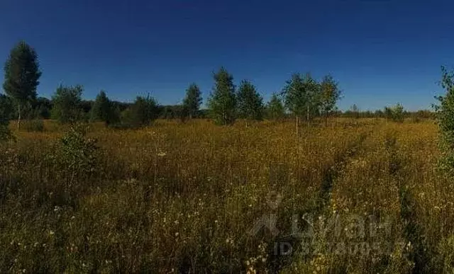 Участок в Краснодарский край, Краснодар Копанской хут., Дружный кв-л, ... - Фото 1