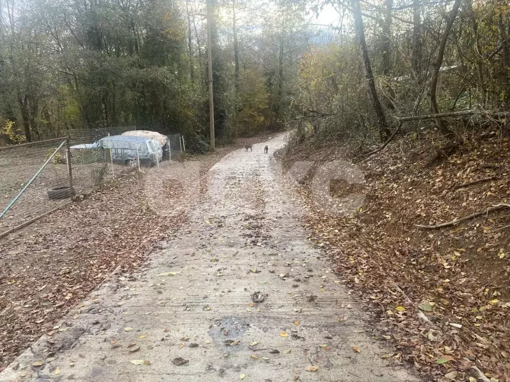 Участок в Краснодарский край, Сочи городской округ, с. Пластунка, ... - Фото 1
