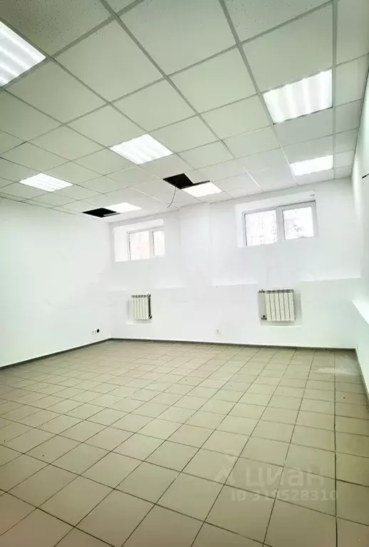 Помещение свободного назначения в Томская область, Томск просп. ... - Фото 1