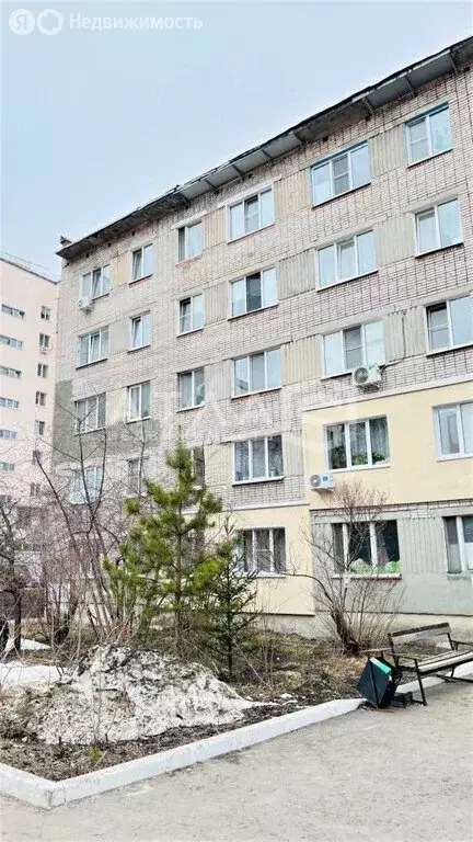 1-комнатная квартира: Пенза, улица Клары Цеткин, 49 (28.8 м) - Фото 1