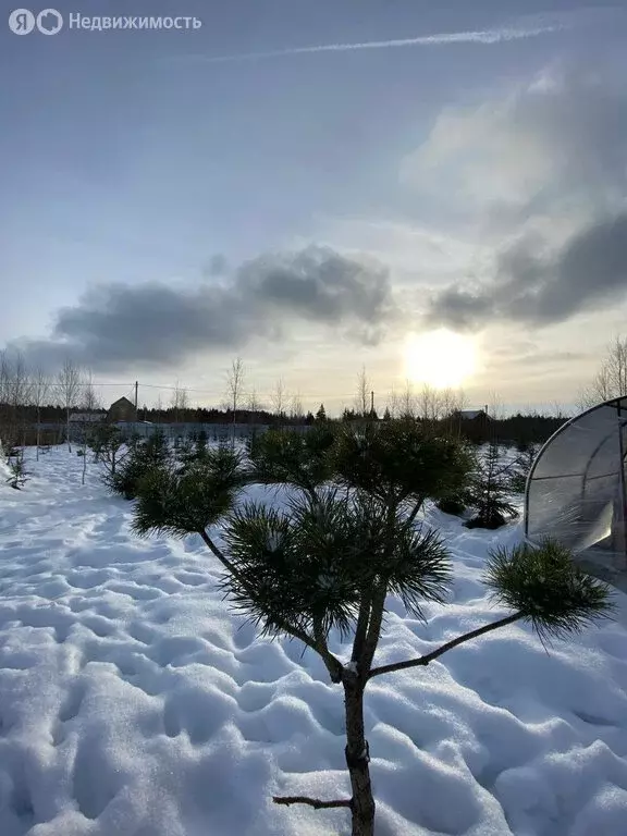 Дом в Калужская область, Боровский муниципальный округ, деревня Юрково ... - Фото 2