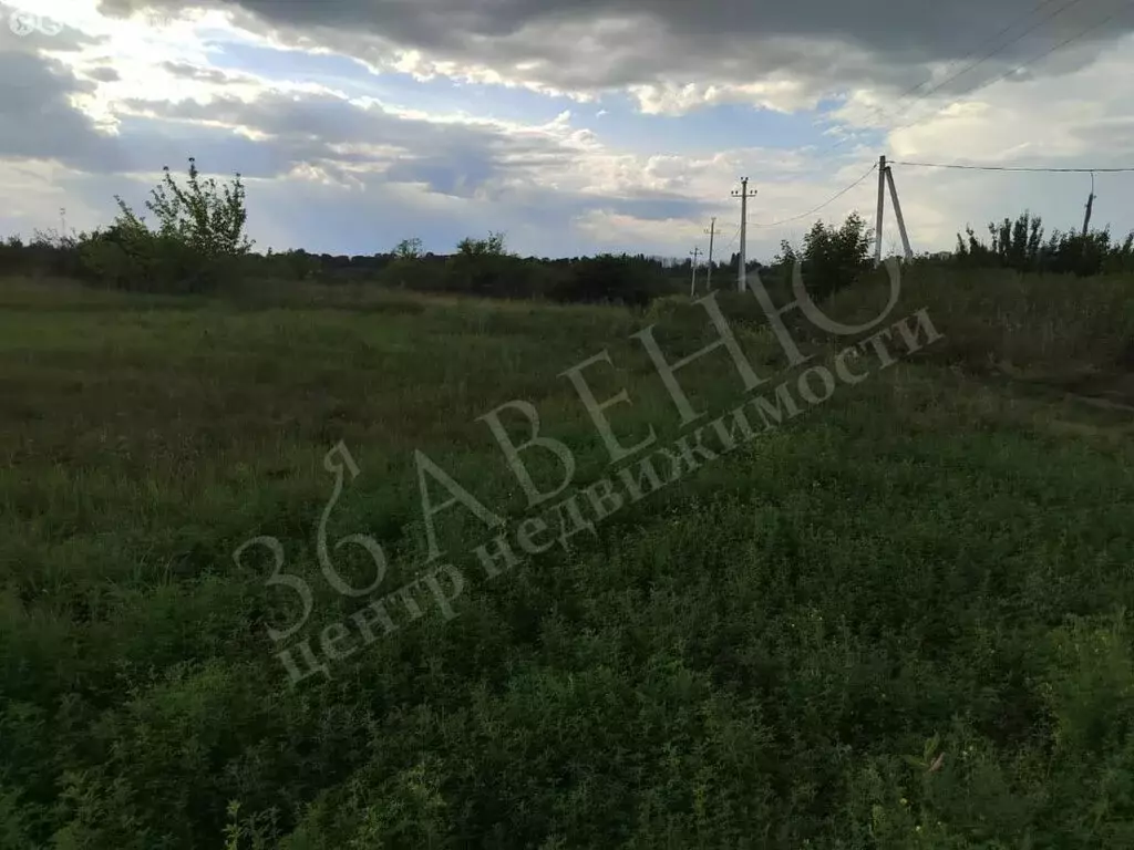 Участок в Воронежская область, Семилуки (8 м) - Фото 0