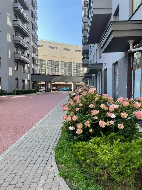 3-к кв. Санкт-Петербург Корпусная ул., 3 (88.4 м) - Фото 2
