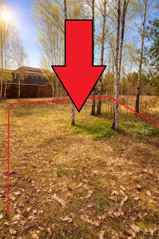 Участок в Московская область, Рузский муниципальный округ, пос. ... - Фото 1