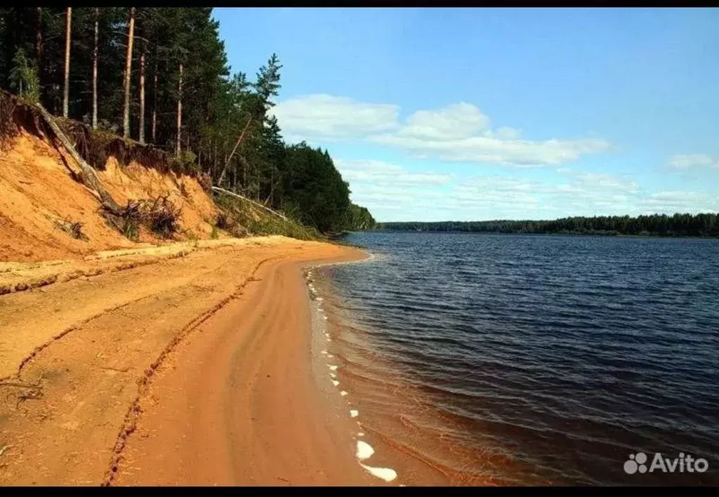 Участок в Ленинградская область, Лодейнопольский район, Доможировское ... - Фото 1