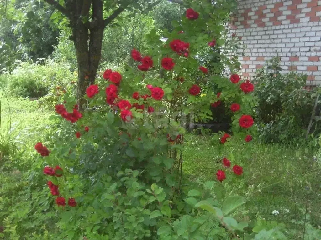 Дом в Псковская область, Пушкиногорье городское поселение, д. Гарино ... - Фото 2