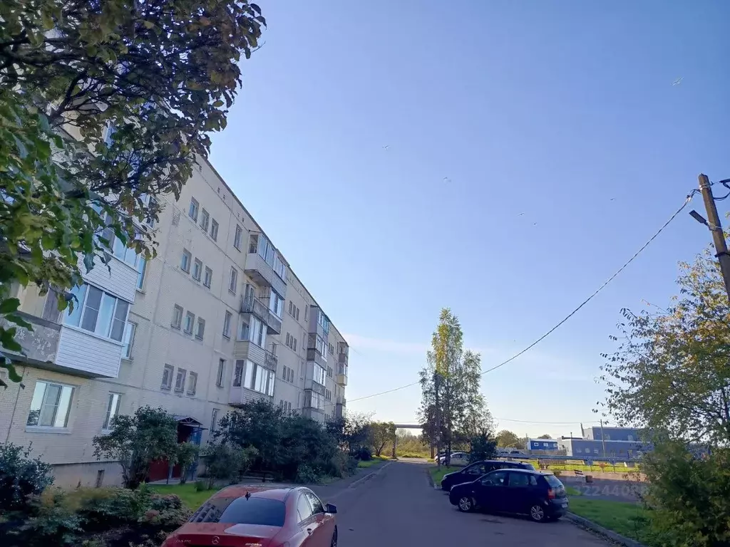 1-к кв. Ленинградская область, Гатчинский муниципальный округ, д. ... - Фото 1