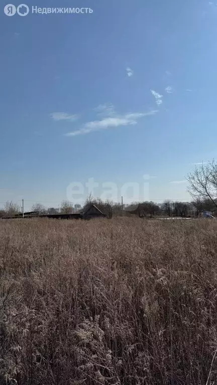 Участок в посёлок Путёвка, территория садоводческого общества Снежка ... - Фото 2