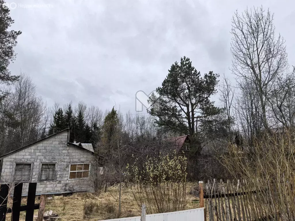 Участок в Мшинское сельское поселение, садоводческий массив Мшинская, ... - Фото 1