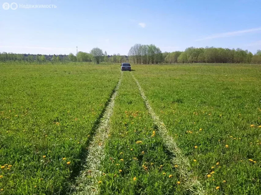 Участок в Волосовский район, Бегуницкое сельское поселение, деревня ... - Фото 1