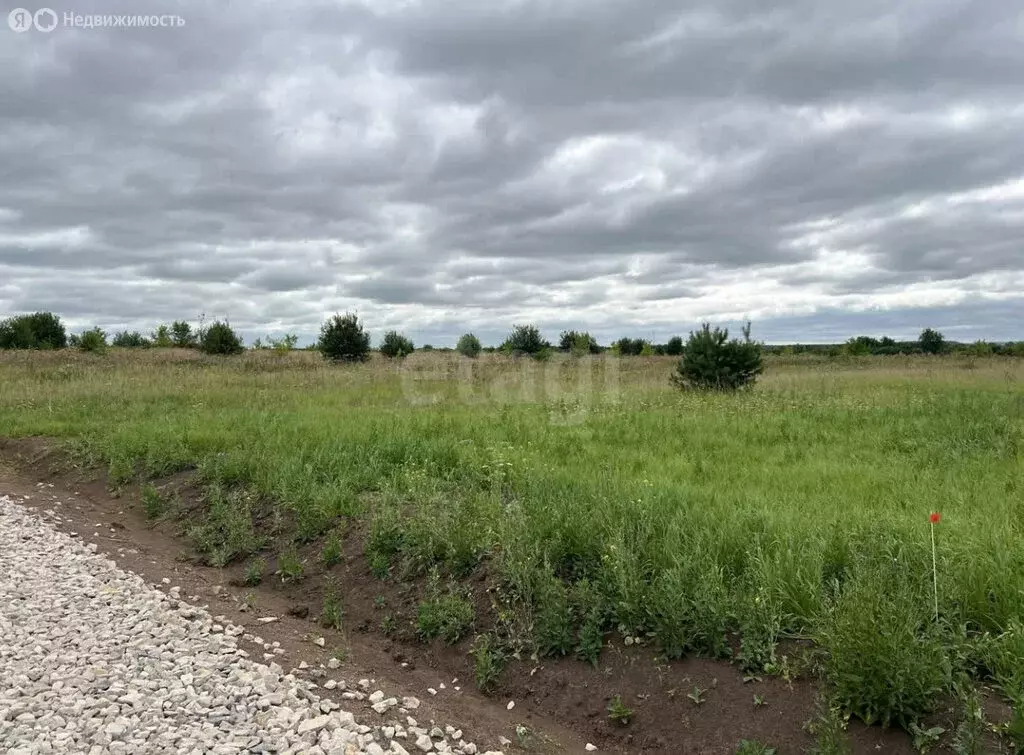 Участок в Пермский муниципальный округ, посёлок Горный (10.99 м) - Фото 1