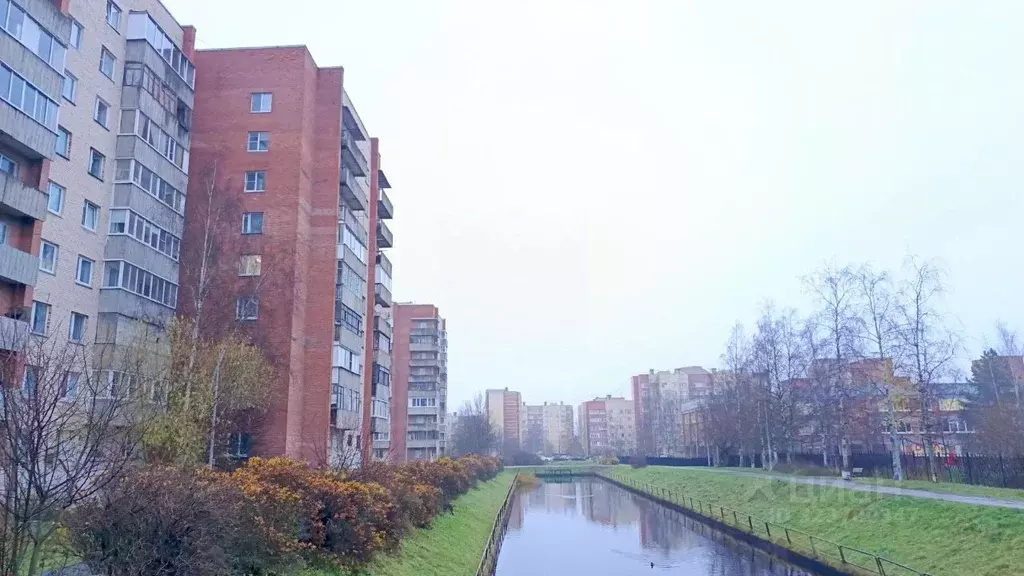 2-к кв. Санкт-Петербург, Санкт-Петербург, Петергоф Чебышевская ул., ... - Фото 2