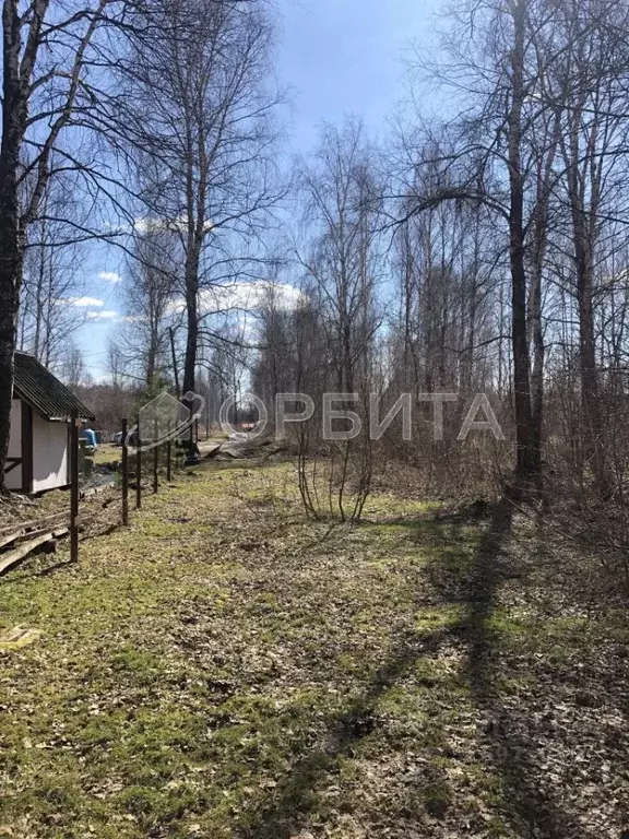 Участок в Тюменская область, Нижнетавдинский район, Фортуна СТ ул. 7-я ... - Фото 1