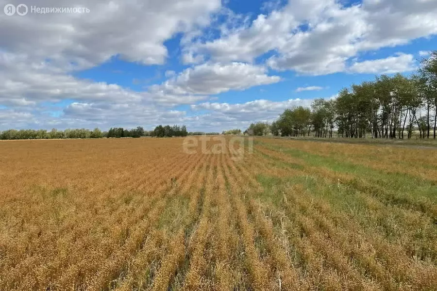 Участок в Барлакский сельсовет (190 м) - Фото 1