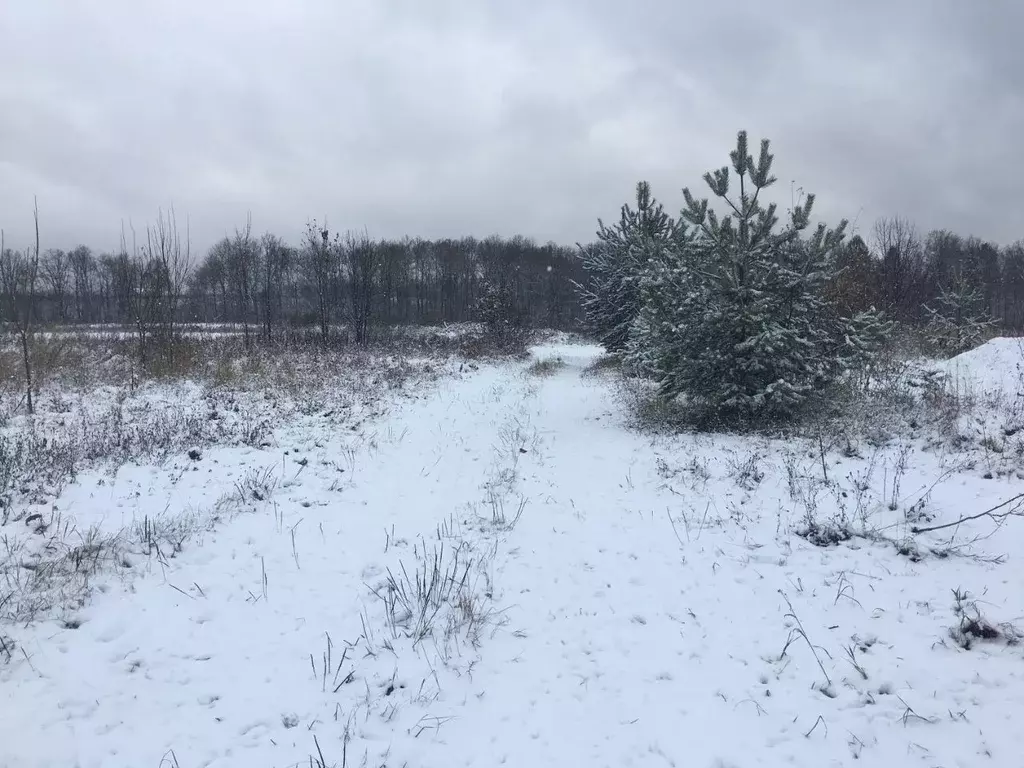 Участок в Московская область, Пушкинский городской округ, д. Цернское  ... - Фото 0