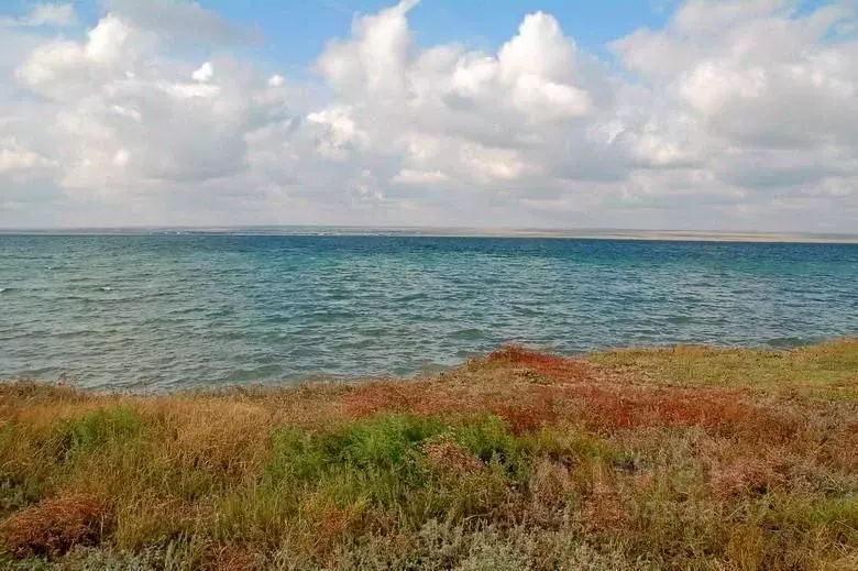 Участок в Крым, Черноморский район, Медведевское с/пос, с. Медведево ... - Фото 0