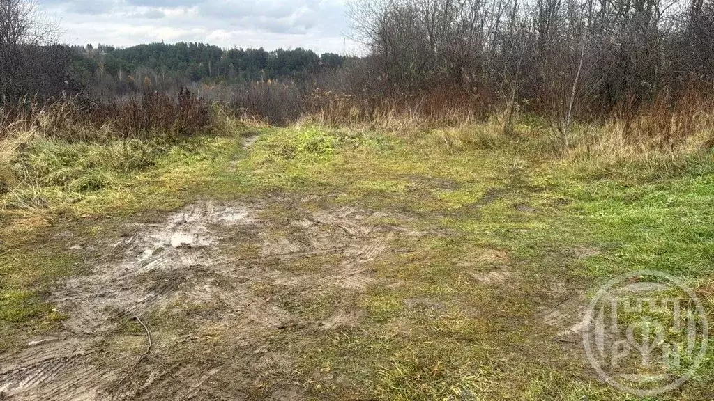 Участок в Ленинградская область, Всеволожский район, Токсовское ... - Фото 1