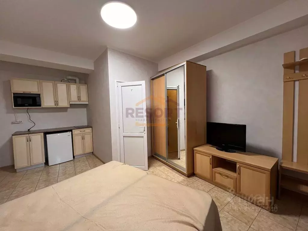 Студия Крым, Ялта ул. Чкалова, 10Б (25.0 м) - Фото 2