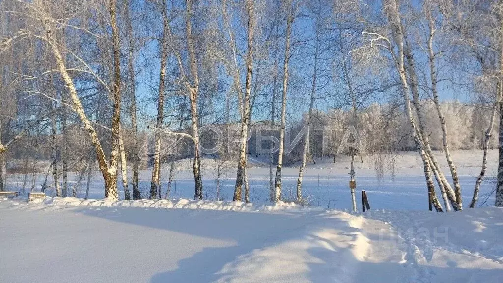 Участок в Тюменская область, Тюменский муниципальный округ, д. ... - Фото 1