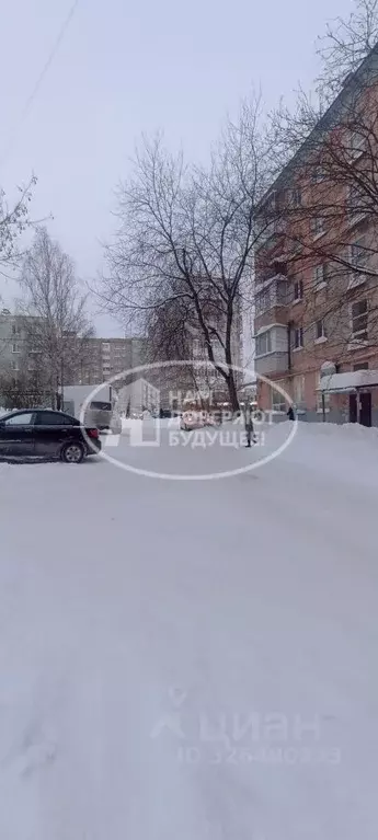 2-к кв. Пермский край, Лысьва ул. Металлистов, 23 (45.5 м) - Фото 2