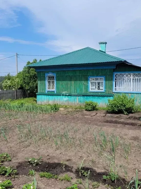 Дом в Новосибирская область, Тогучинский район, с. Усть-Каменка ул. ... - Фото 0