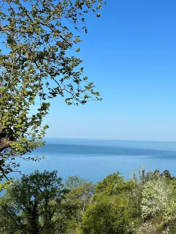 Коттедж в Краснодарский край, Сочи Ландышевая ул., 126 (150 м) - Фото 1