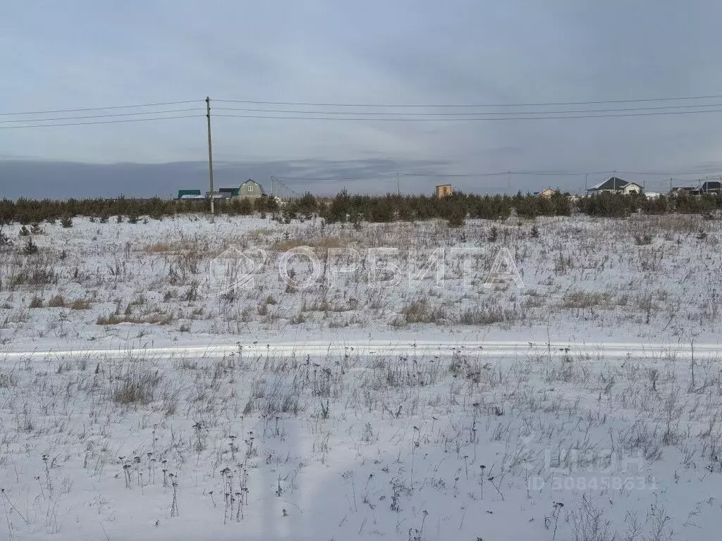 Участок в Тюменская область, Тюменский район, с. Борки  (9.21 сот.) - Фото 0