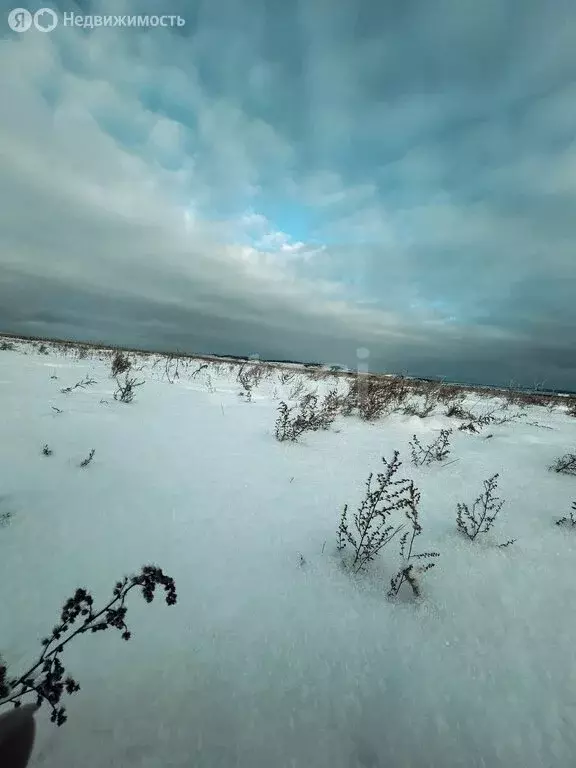 Участок в Эхирит-Булагатский район, автодорога Иркутск - Качуг, 71-й ... - Фото 1