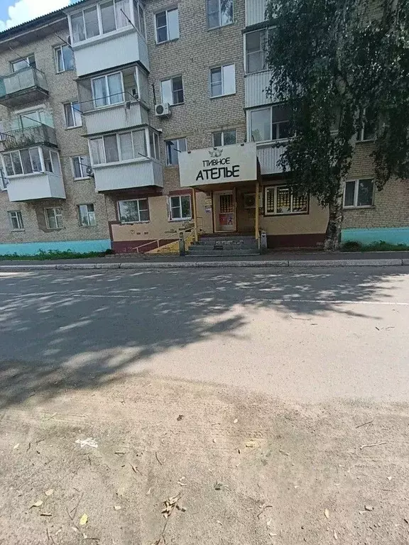 3-к кв. Еврейская автономная область, с. Ленинское ул. Кагыкина, 9 ... - Фото 1