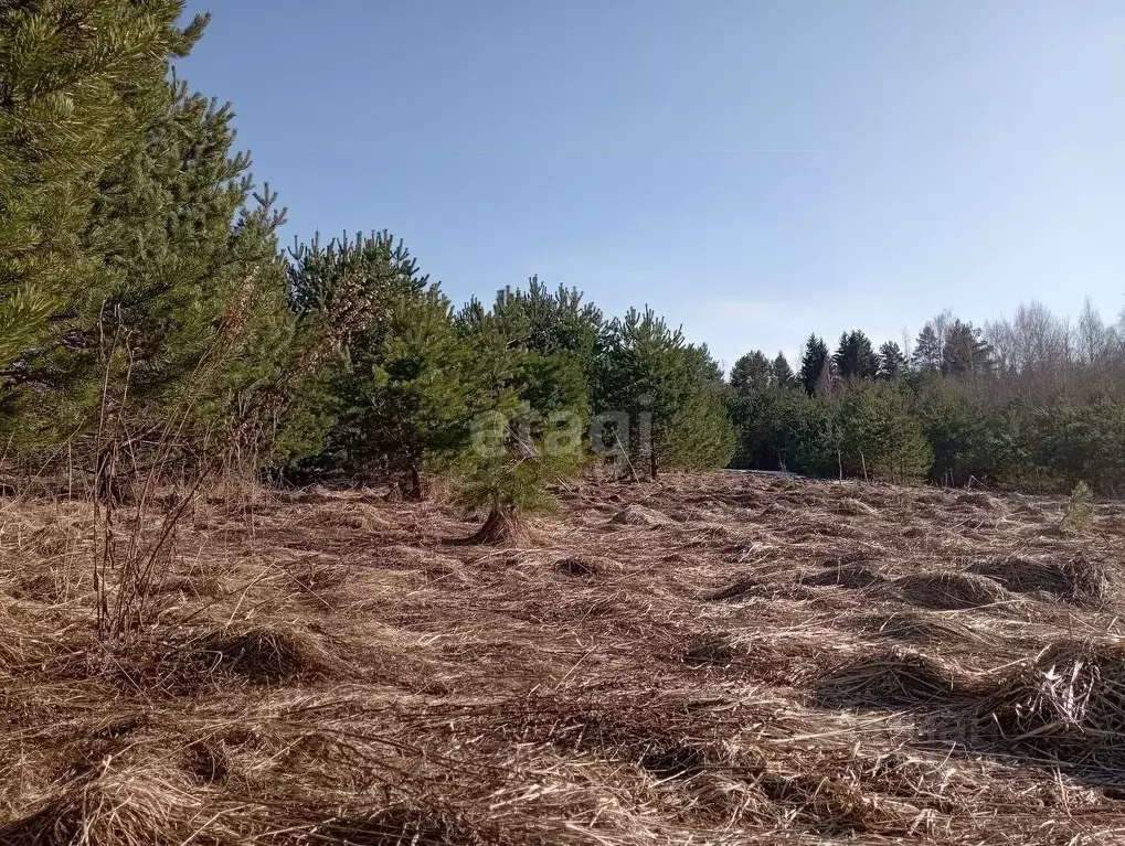 Участок в Псковская область, Печорский муниципальный округ, д. ... - Фото 0