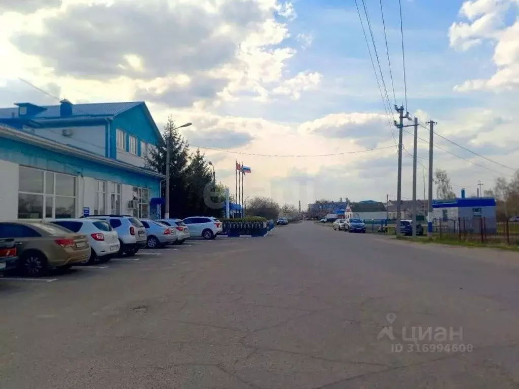 Помещение свободного назначения в Белгородская область, Поселок ... - Фото 1