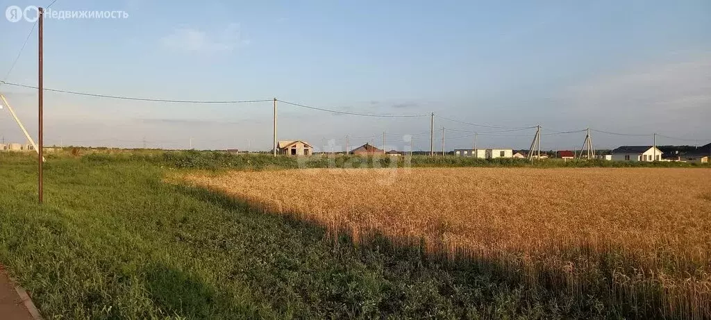 Участок в село Стрелецкое, СНТ Северное-АПК (10 м) - Фото 2