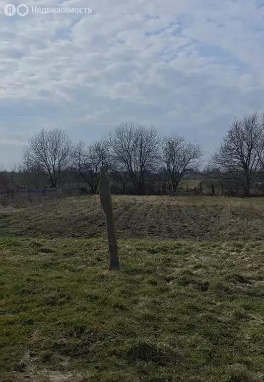 Участок в Калининградская область, Гурьевский муниципальный округ, ... - Фото 1