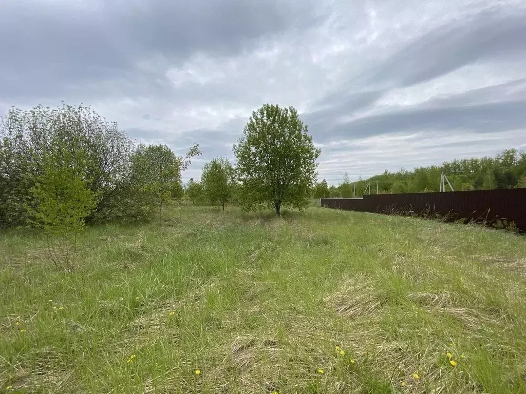 Участок в Московская область, Коломна городской округ, с. Шеметово  ... - Фото 0