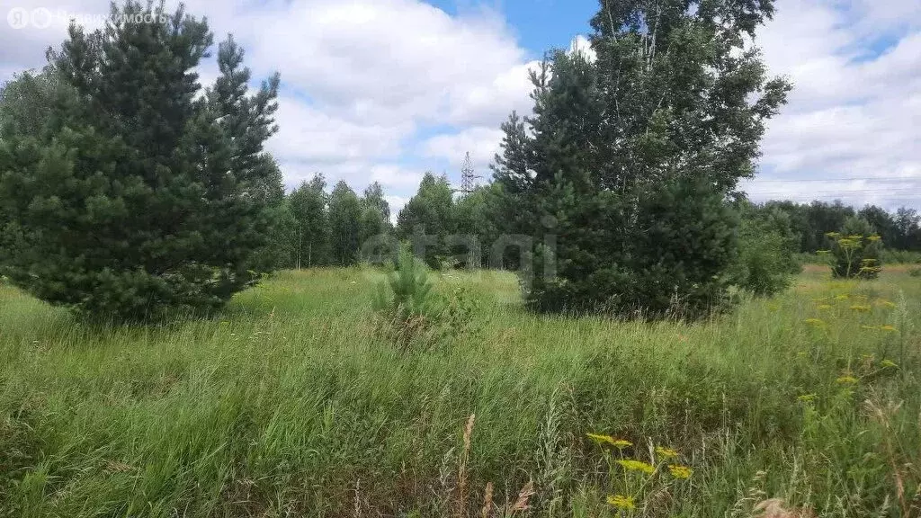 Участок в Тюменский район, СНТ Нефтехимик (7.75 м) - Фото 1