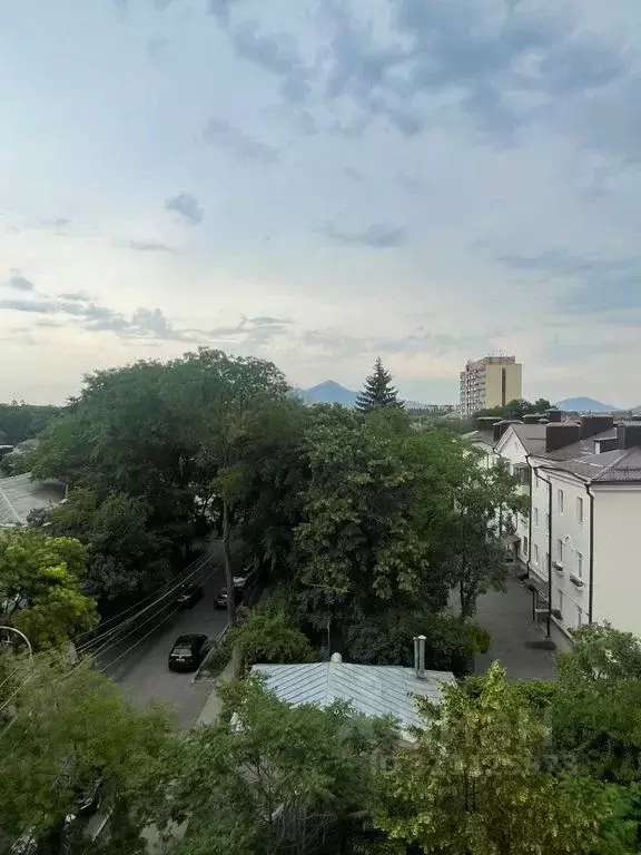 2-к кв. Ставропольский край, Ессентуки Интернациональная ул., 31 (80.0 ... - Фото 0