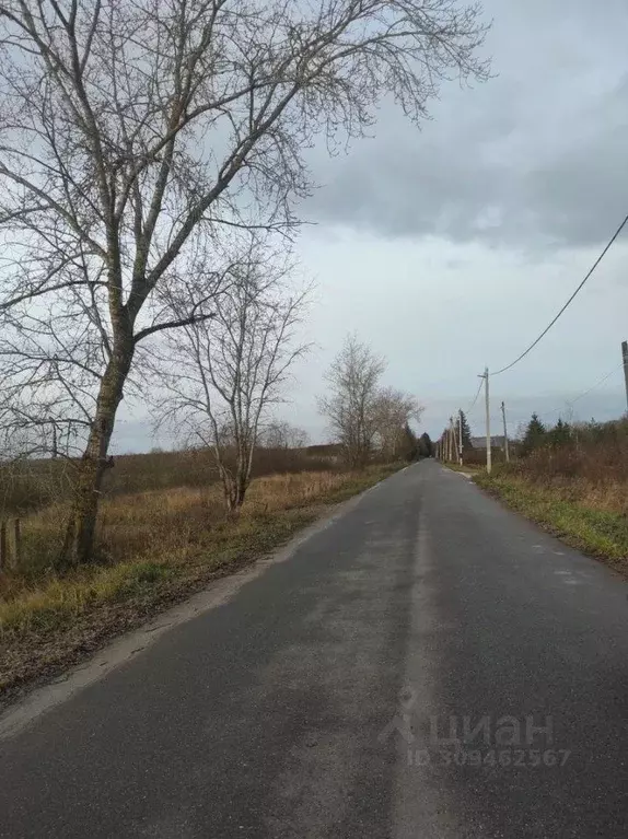 Участок в Новгородская область, Новгородский район, Борковское с/пос, ... - Фото 0