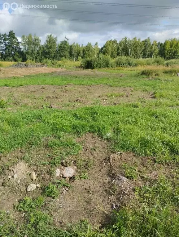 Участок в Богородский городской округ, КП Новое Борилово (7 м) - Фото 2