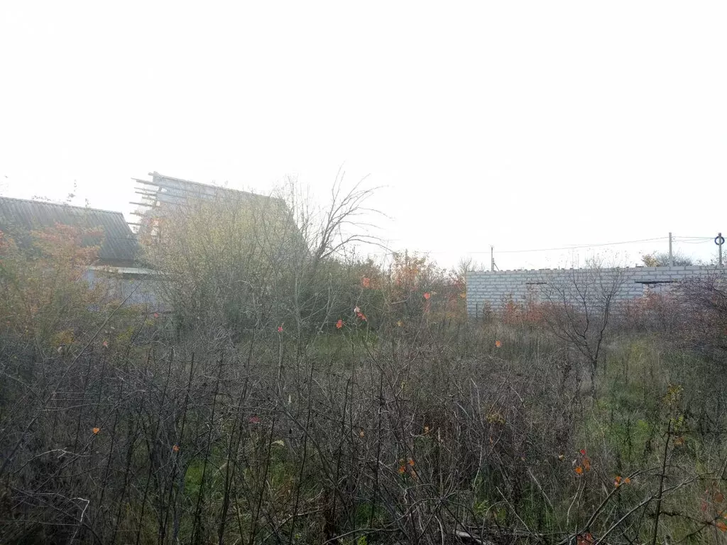 Участок в Широчанка, садовое товарищество Строитель (5 м) - Фото 2