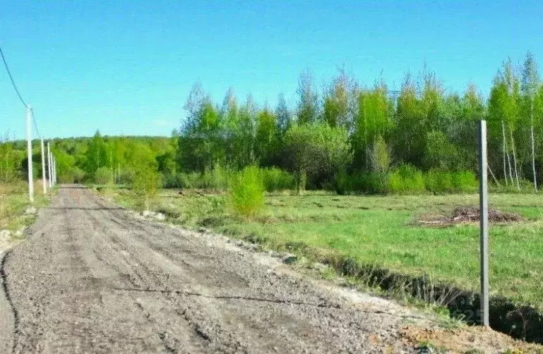 Участок в Московская область, Раменский муниципальный округ, с. ... - Фото 2