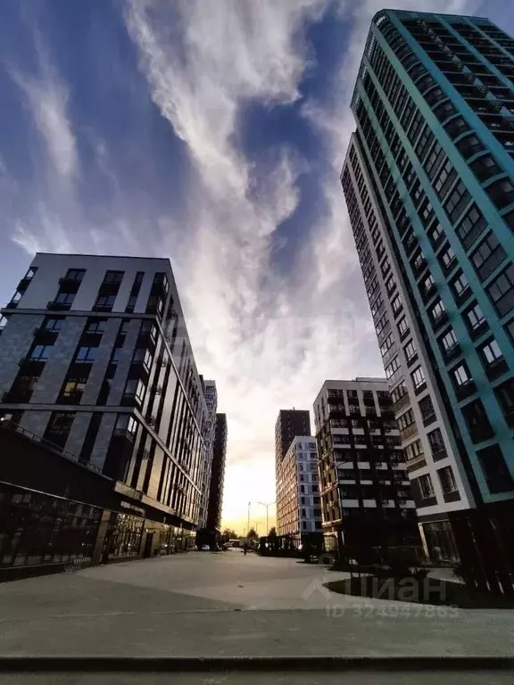 Студия Москва Сосенское поселение, просп. Куприна, 7к1 (24.0 м) - Фото 2