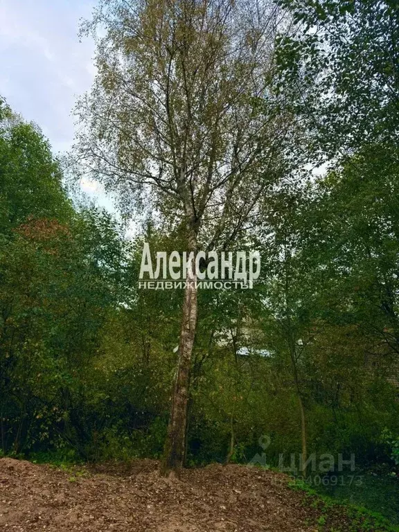 Участок в Ленинградская область, Кировский район, Мгинское городское ... - Фото 2