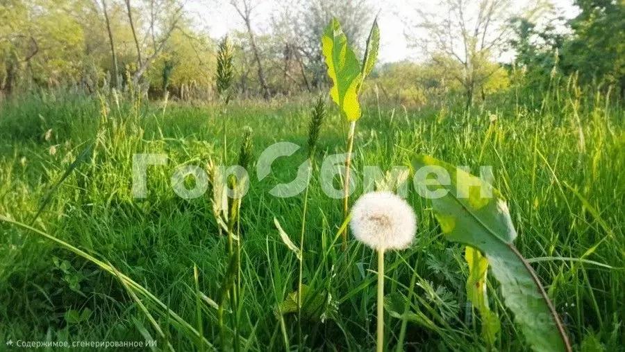 Участок в Краснодарский край, Сочи городской округ, с. Черешня ул. ... - Фото 2