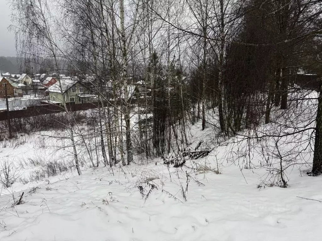 Участок в Московская область, Пушкинский городской округ, д. Лепешки  ... - Фото 1
